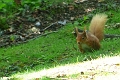 19 06 15_5026_edited-1